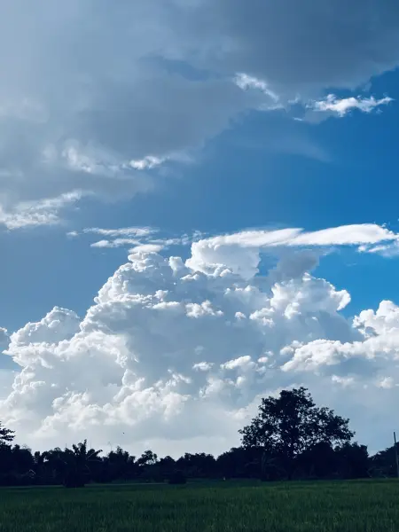 Sawah dengan awan
