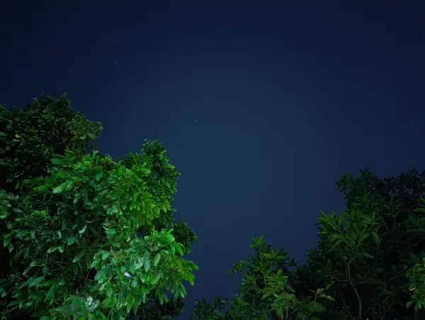 pemandangan langit malam