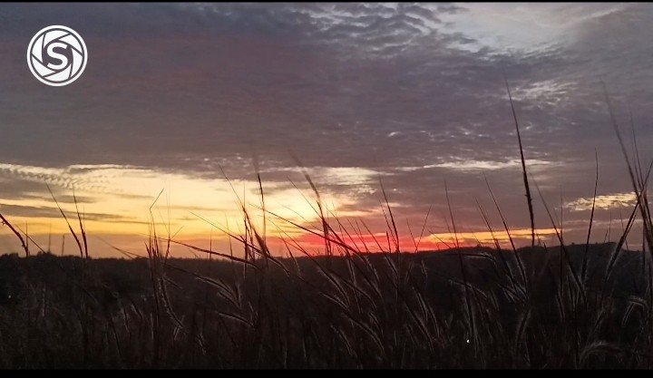 Pemandangan sunset - foto oleh Daud di PictStock