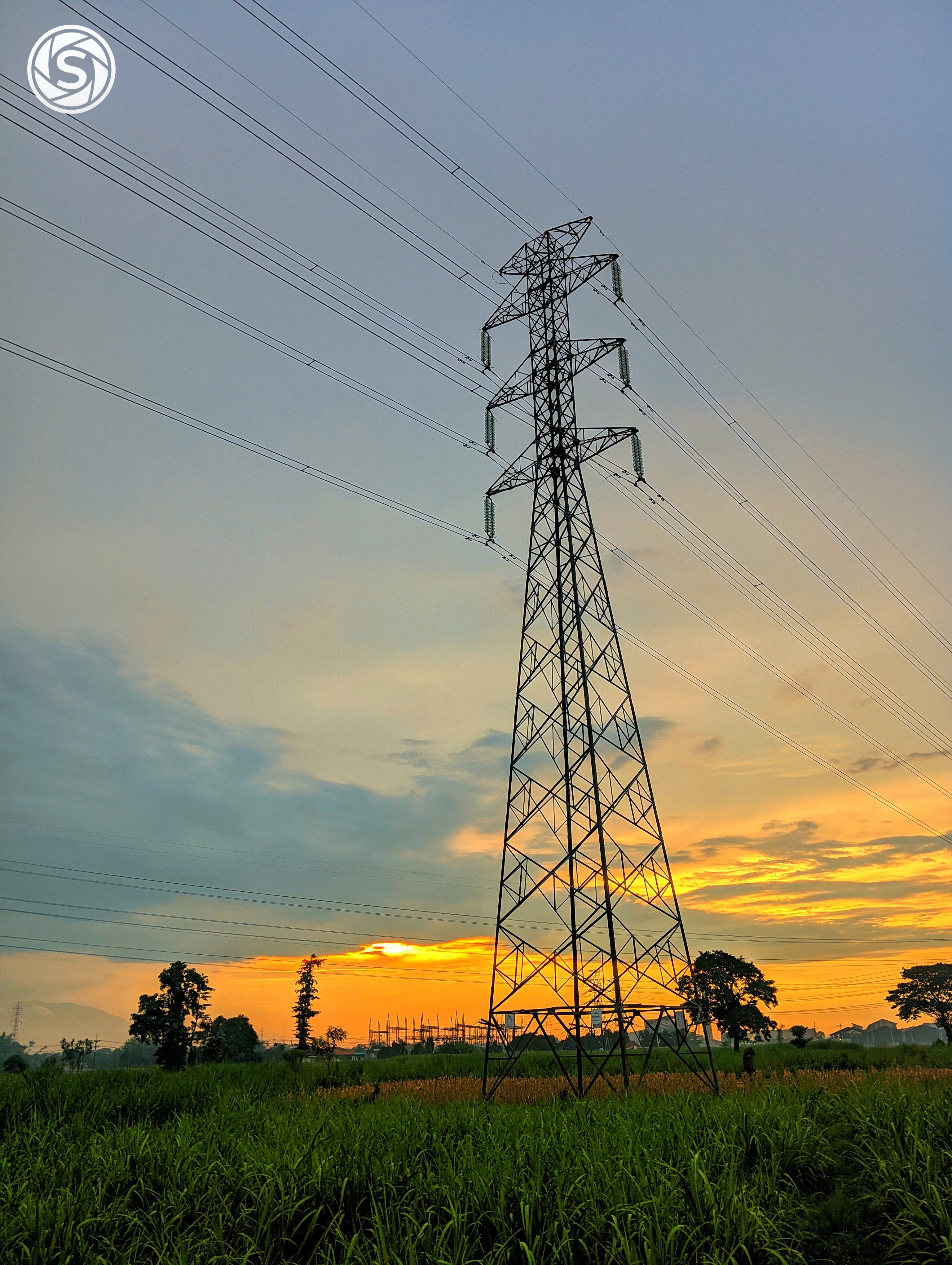 Pemandangan sunset di tengah sawah - foto oleh Tristan Ardiansyah di PictStock